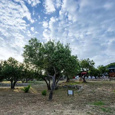 אתר קמפינג Camp Kopito חוואר