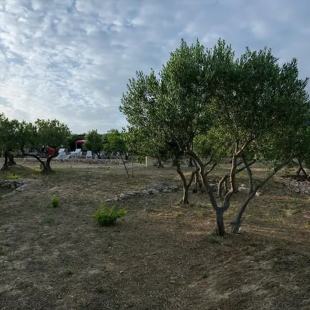 אתר קמפינג Camp Kopito