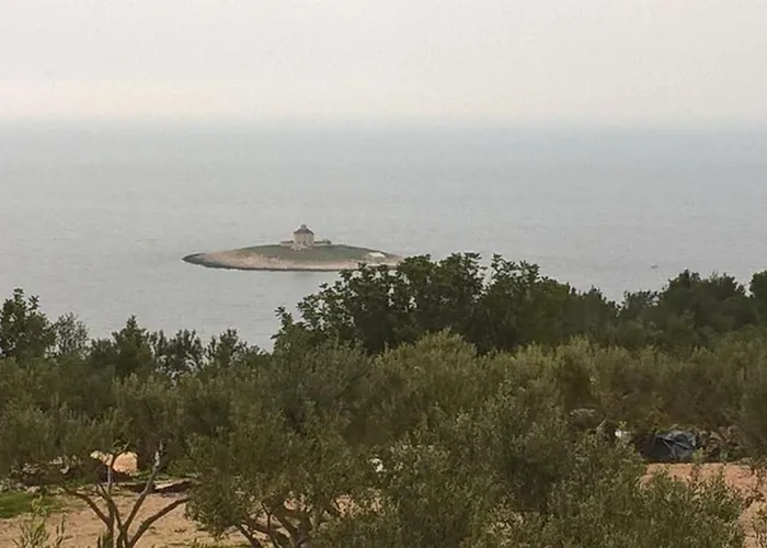 Camp Kopito *