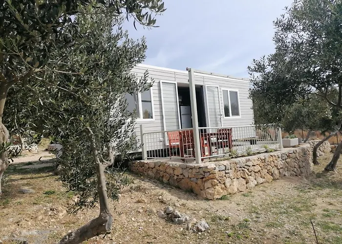 Camp Kopito