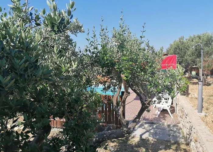 Camp Kopito