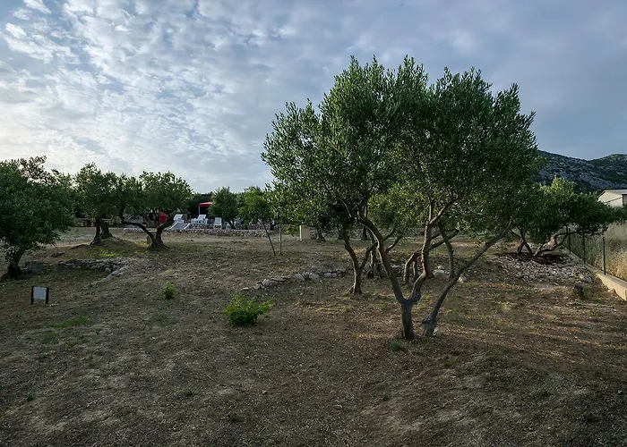 Campingplads Camp Kopito